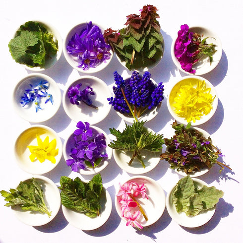 Wild Flower Hair Serum