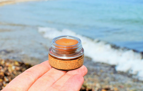 Cinnamon Lip Plumper