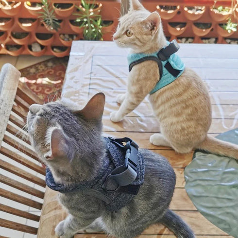 Adjustable Anti Escape Cat Harness and Leash Set - Breathable Lightweight Pet Vest