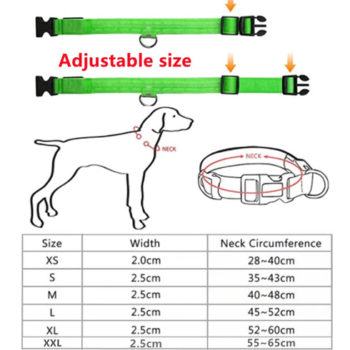 Adjustable LED Glowing Dog Collar – Rechargeable Flashing Light Harness for Small Dogs