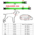 Adjustable LED Glowing Dog Collar – Rechargeable Flashing Light Harness for Small Dogs