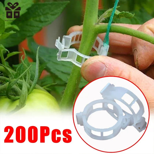 150/50 Pcs Plastic Plant Support Clips - Reusable Vine & Grafting Fixing Tool for Plants