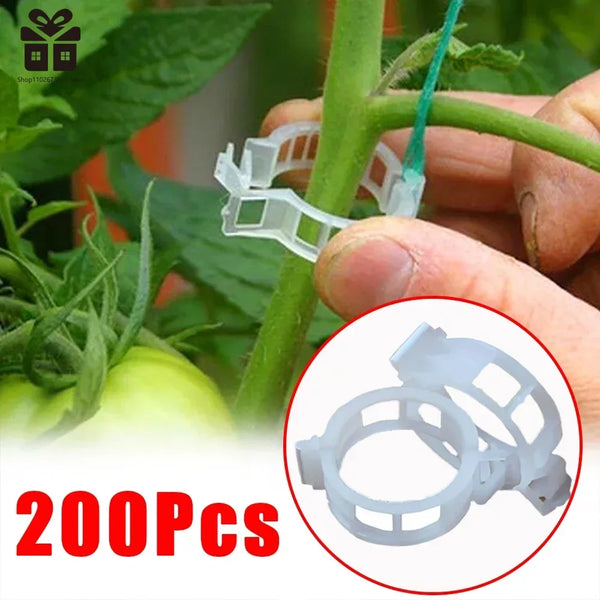 150/50 Pcs Plastic Plant Support Clips - Reusable Vine & Grafting Fixing Tool for Plants