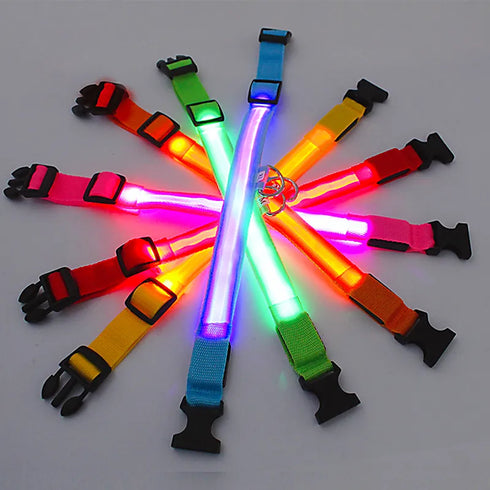 Adjustable LED Glowing Dog Collar – Rechargeable Flashing Light Harness for Small Dogs