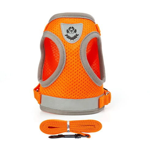 48395516543286|48395516674358|48395516739894|48395516772662|48395516805430