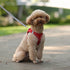 Dog Harness Leash Set - Vest Harness for Puppies and Cats - Outdoor Walking Lead