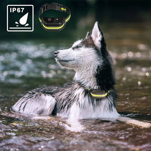 Rechargeable Waterproof Dog Training Collar with Remote Control - Electric Pet Collar