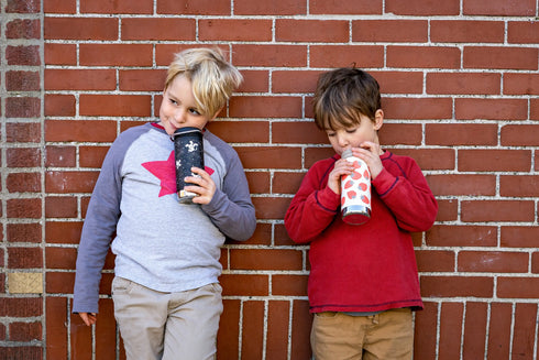 12 fl oz Stainless Steel Insulated Water Bottle Twist Cap Strawberries
