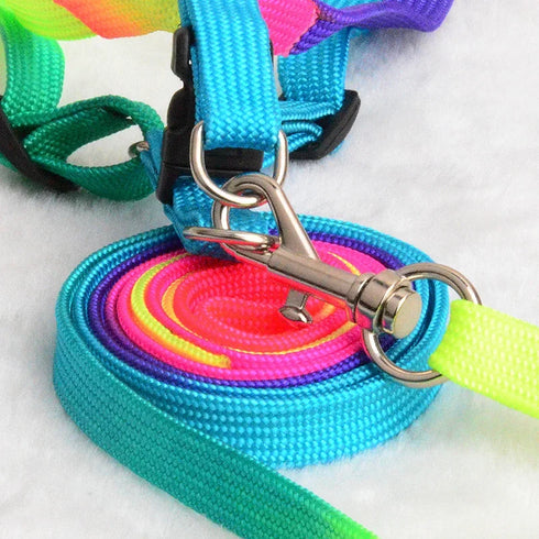Rainbow Pet Collar Harness & Leash Set – Colorful Soft and Durable Nylon Walking Harness