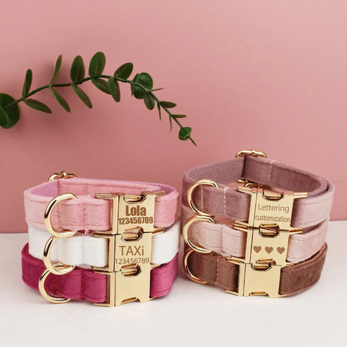 Customizable Dog Collar - Harness & Leash Set with Detachable Bow Tie for Dogs