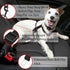 Adjustable Cat & Dog Car Seat Belt – Travel Clip for Small to Medium Pets – Lead Accessories