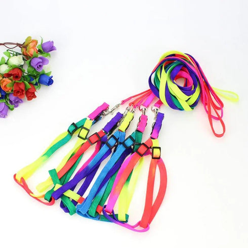 Rainbow Pet Collar Harness & Leash Set – Colorful Soft and Durable Nylon Walking Harness