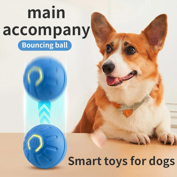 Interactive Pet Toy Ball - USB Rechargeable Automatic Bouncing Ball for Dogs and Cats