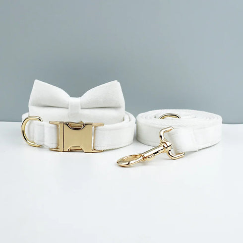 48395530797366|48395531813174|48395531845942|48395531878710|48395531911478