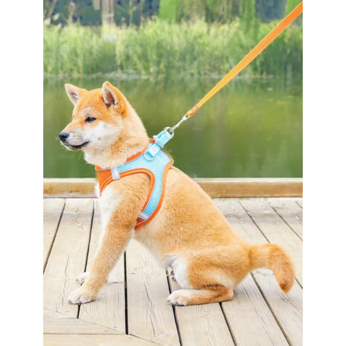 Adjustable Dog Harness Vest with Leash and Collar Set - Best Selling Pet Accessories