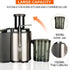 800W Juice Container, Electric Juice Machine Fruit Extractor
