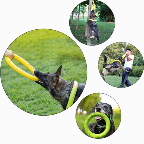 Interactive Dog Flying Disc Toy - Durable Training Ring for Fetch and Anti-Bite