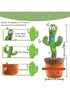 Dancing Talking Cactus Toys For Baby Boys And Girls- Singing Mimicking Recording Repeating
