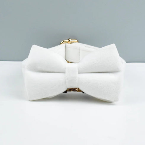 48395530600758|48395531682102|48395531714870|48395531747638|48395531780406