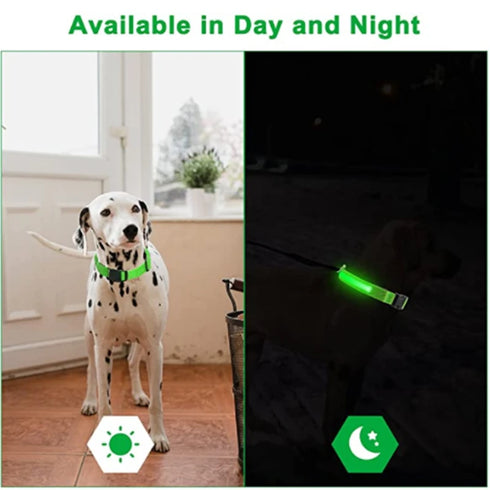 Adjustable LED Glowing Dog Collar – Rechargeable Flashing Light Harness for Small Dogs