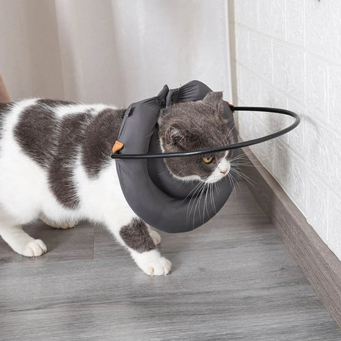 Bumper Harness for Blind Dogs – Lightweight Head Protection - Anti Collision Guide Harness for Dogs