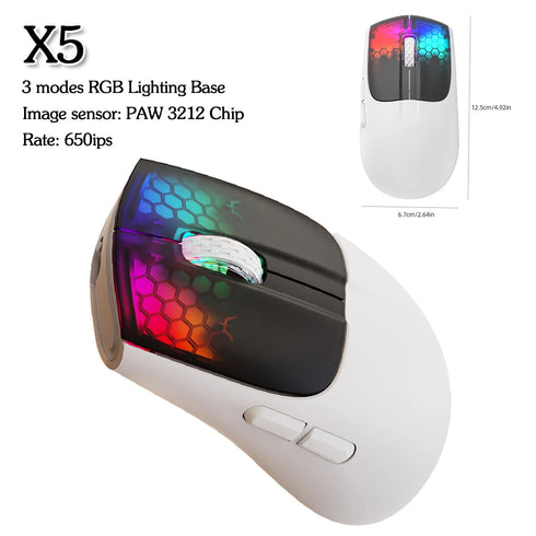 48621820346678|48621820674358