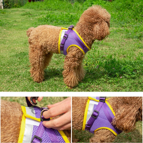 Reflective Dog Harness Vest Set for Small to Medium Dogs – Leash and Chest Strap for Puppies & Cats