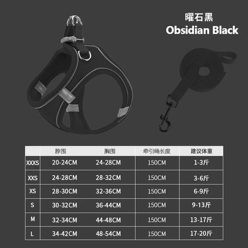 48395508121910|48395508154678|48395508187446|48395508220214|48395508252982|48395508285750