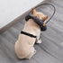 Bumper Harness for Blind Dogs – Lightweight Head Protection - Anti Collision Guide Harness for Dogs