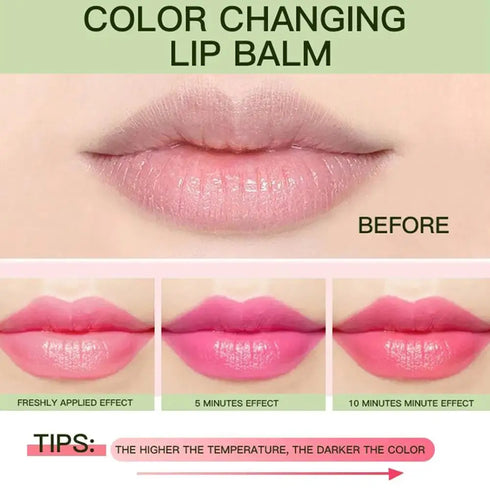 Color Changing Aloe Vera Lipstick – 2pcs, Moisturizing, Long-Lasting, Net Weight 3.5g