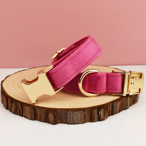 Customizable Dog Collar - Harness & Leash Set with Detachable Bow Tie for Dogs