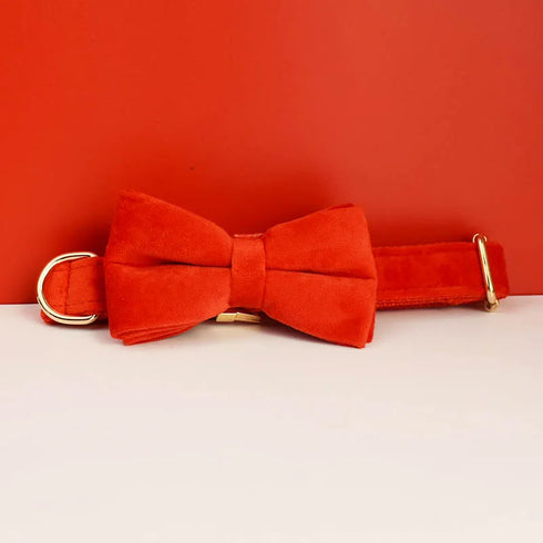 48395512217910|48395512283446|48395512348982|48395514806582|48395514839350