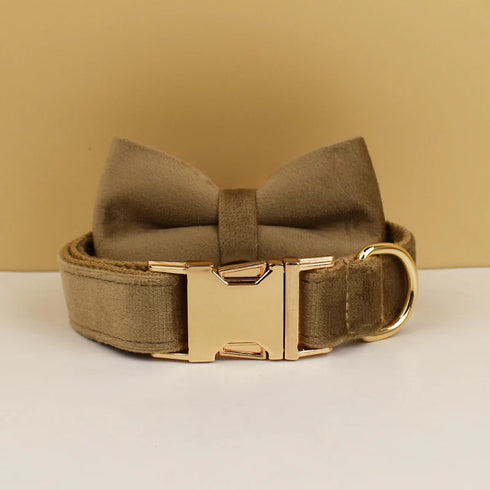 48395512742198|48395512807734|48395513692470|48395513758006|48395513823542