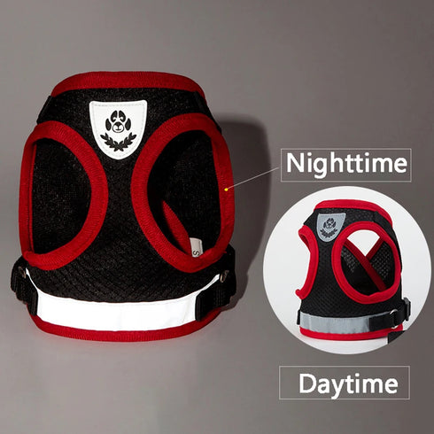 Reflective Dog Harness Vest Set for Small to Medium Dogs – Leash and Chest Strap for Puppies & Cats