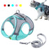 Cat & Dog Adjustable Harness Leash Set - Vest Style Collar - Pet Walking Lead