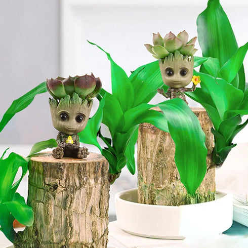 Groot Succulent Planter - Mini Tree Man Figurine for Garden, Office, Home