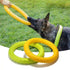 Interactive Dog Flying Disc Toy - Durable Training Ring for Fetch and Anti-Bite
