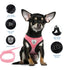 Comfortable Cat and Dog Harness Vest with Leash Set - Breathable Mesh and Traction Rope for Pets
