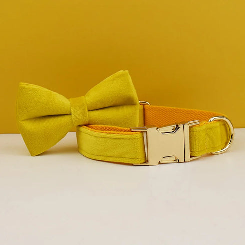 48395511169334|48395511234870|48395511988534|48395512054070|48395512119606