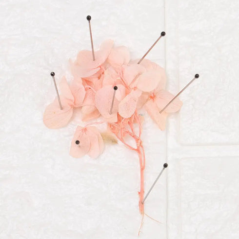 100Pcs Good Flexibility Lab Accessories Education Insect Dissections Supplies Pin Needle Specimen Pins