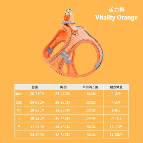 48395508515126|48395508547894|48395508580662|48395508777270|48395508810038|48395508842806