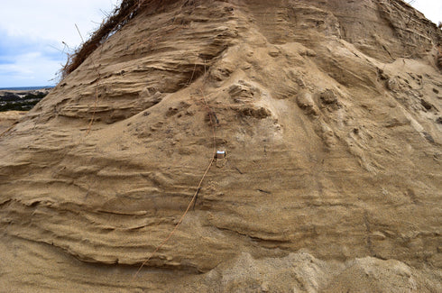 Turmeric Honey Scrub