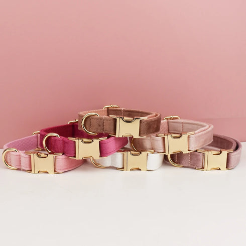 Customizable Dog Collar - Harness & Leash Set with Detachable Bow Tie for Dogs