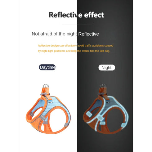 Adjustable Dog Harness Vest with Leash and Collar Set - Best Selling Pet Accessories