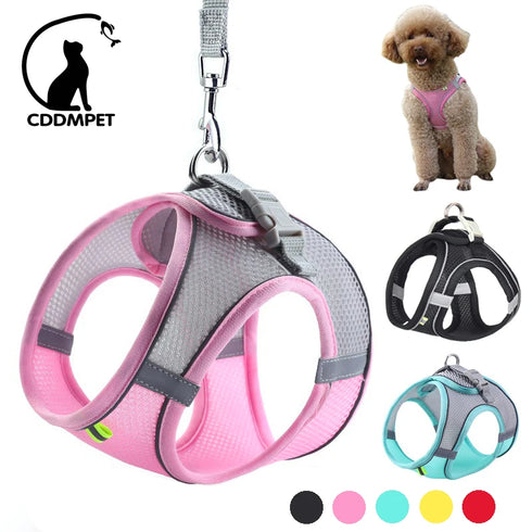 Dog Harness Leash Set - Vest Harness for Puppies and Cats - Outdoor Walking Lead