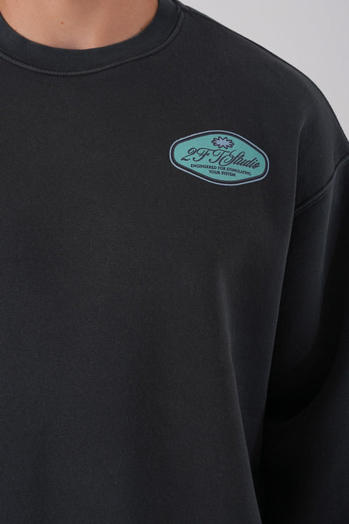 Unisex Washed Graphic Sweatshirt – "Reasonable" Back Print