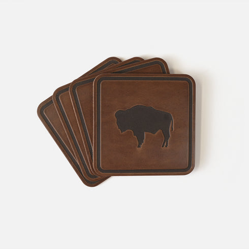 Buffalo Coasters
