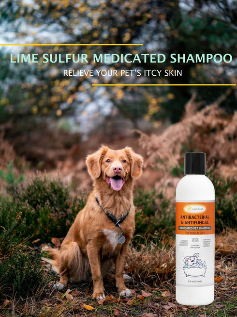 Lime Sulfur Pet Shampoo - Pet Care and Veterinary Solution for Itchy and Dry Skin - Safe for Dog; Cat; Puppy; Kitten; Horse