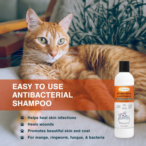 Lime Sulfur Pet Shampoo - Pet Care and Veterinary Solution for Itchy and Dry Skin - Safe for Dog; Cat; Puppy; Kitten; Horse