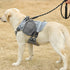 Universal Outdoor Dog Harness With Pet Leash And Snap Shackle Hitched Loop For Dogs